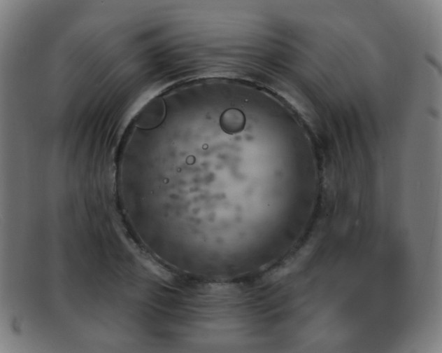 X0000092040933200709121150