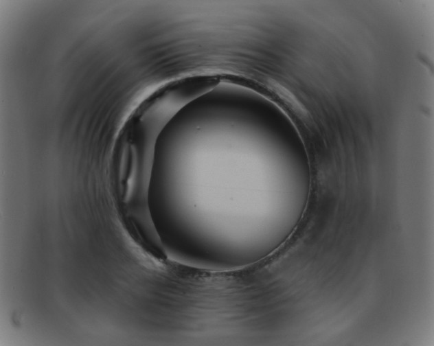 X0000092040934200709121150