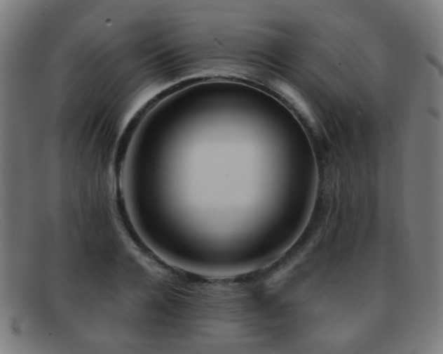 X0000092040936200709121150