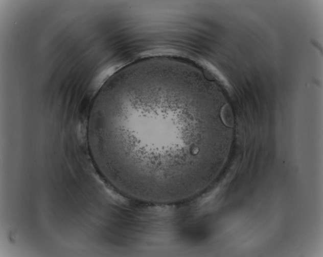 X0000092040937200709121151