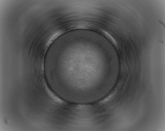 X0000092040938200709121151