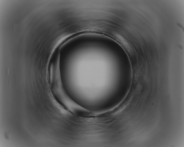 X0000092040940200709121151