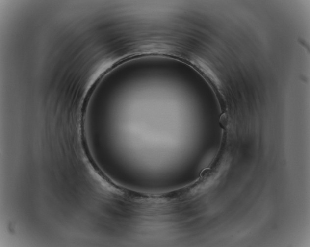 X0000092040941200709121151