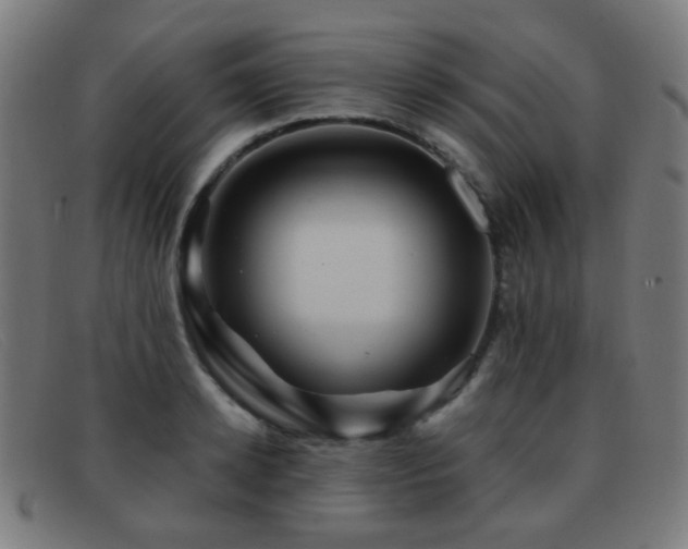 X0000092040942200709121151