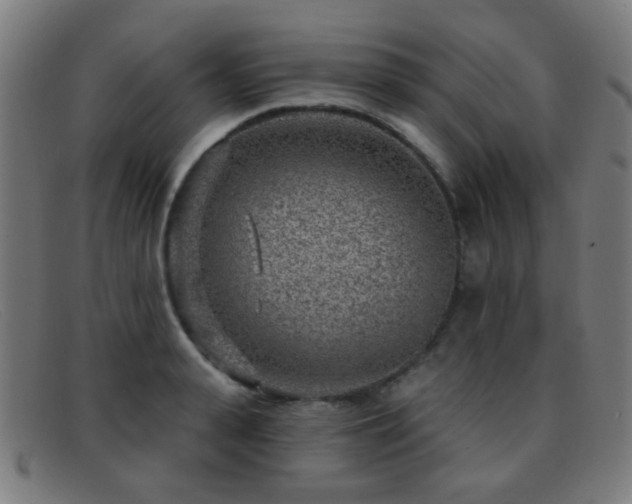 X0000092040943200709121151