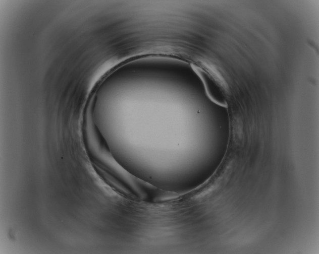 X0000092040944200709121151