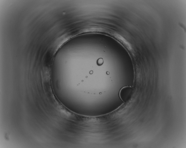 X0000092040945200709121151