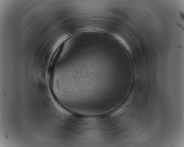 X0000092040946200709121151