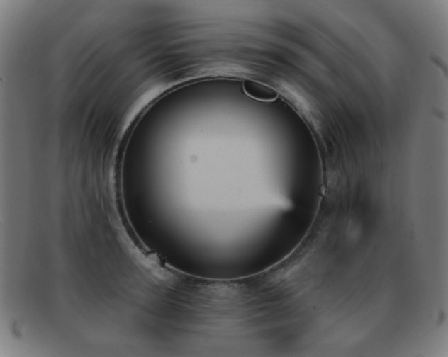 X0000092040947200709121151