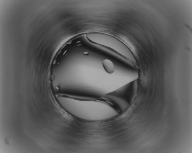 X0000092040948200709121151