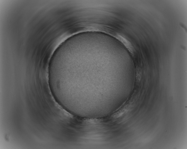 X0000092040950200709121151