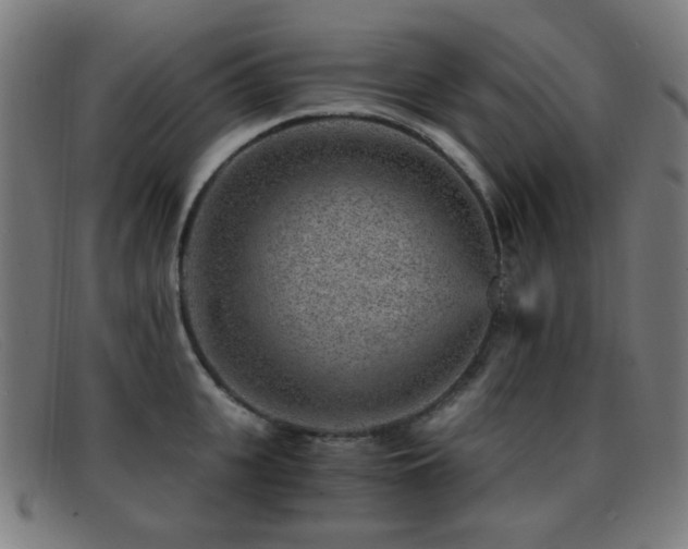 X0000092040951200709121151