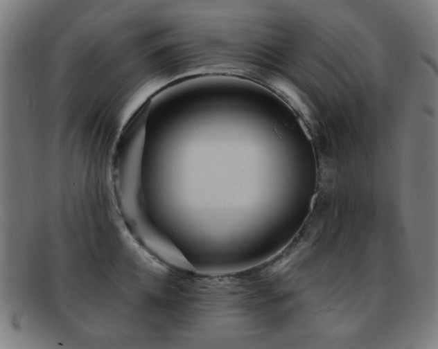 X0000092040952200709121151