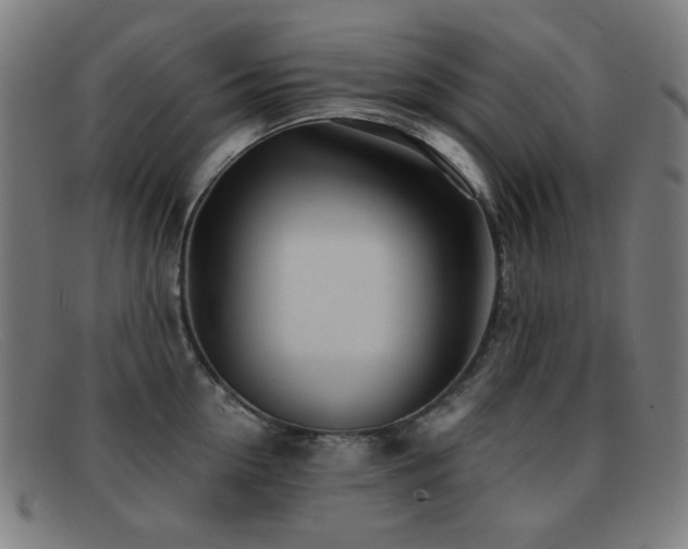 X0000092040954200709121151