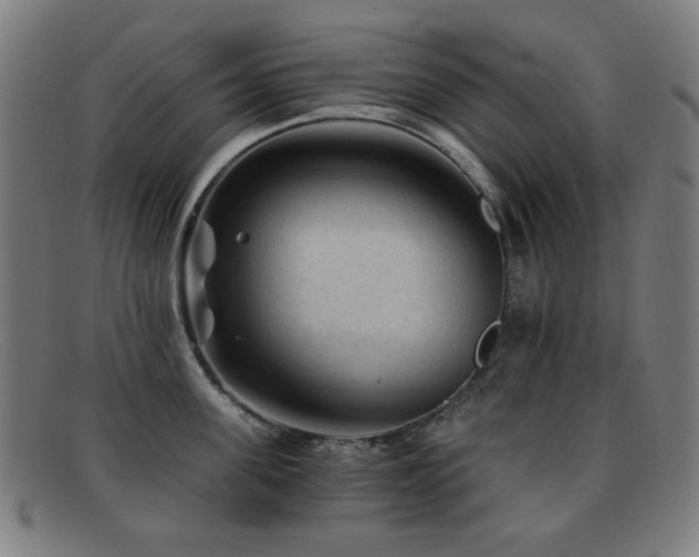 X0000092040955200709121151