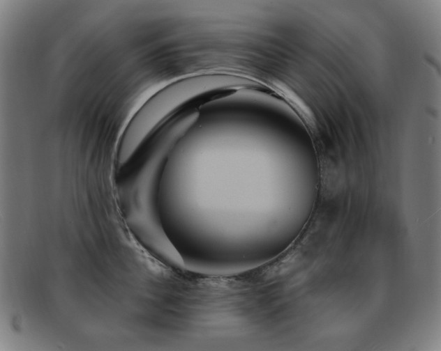 X0000092040956200709121151