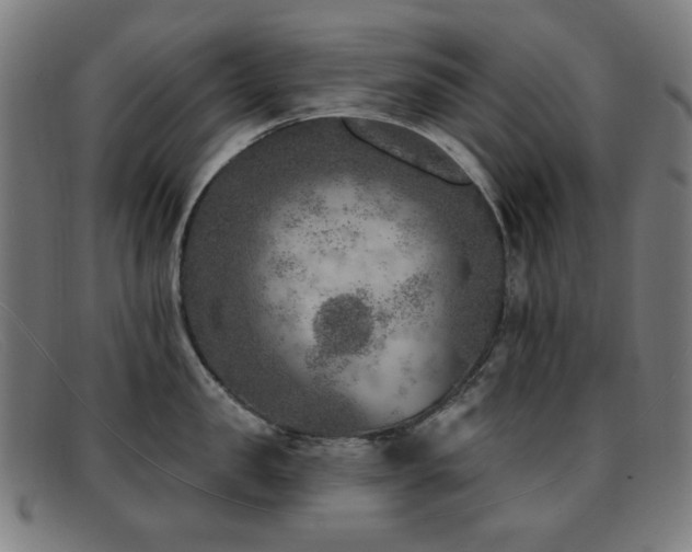 X0000092040957200709121151