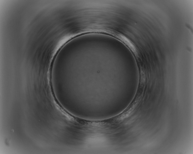 X0000092040958200709121151