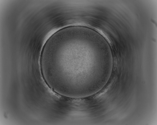 X0000092040959200709121151