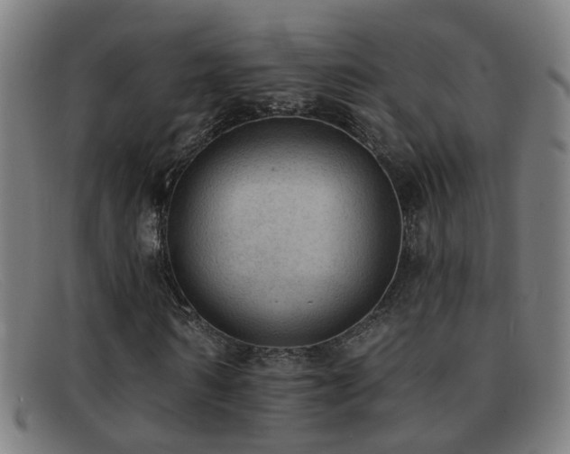 X0000092040962200709121150