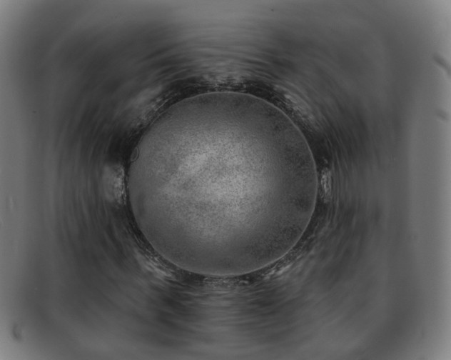 X0000092040963200709121150