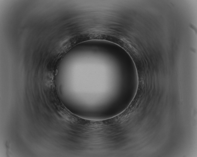 X0000092040964200709121150