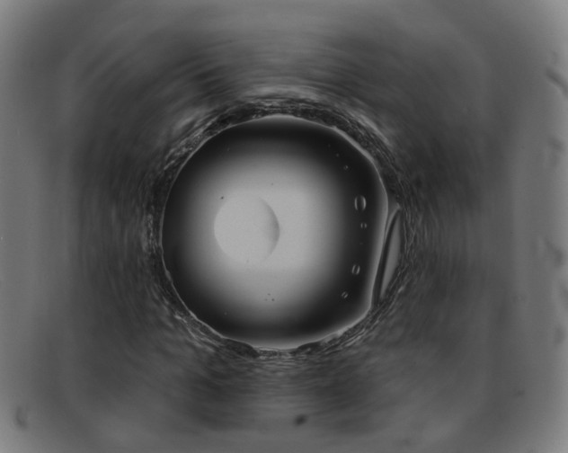 X0000092040965200709121150