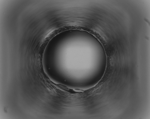 X0000092040968200709121150