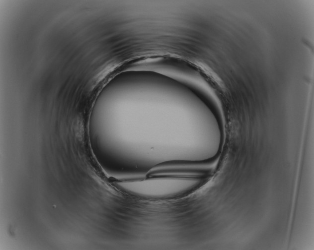 X0000092040969200709121150