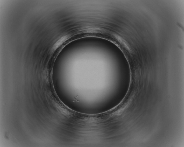 X0000092040970200709121150