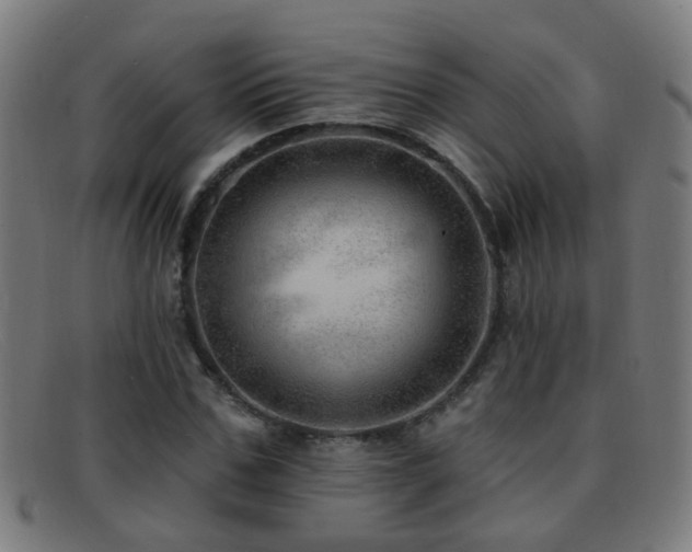 X0000092040971200709121150