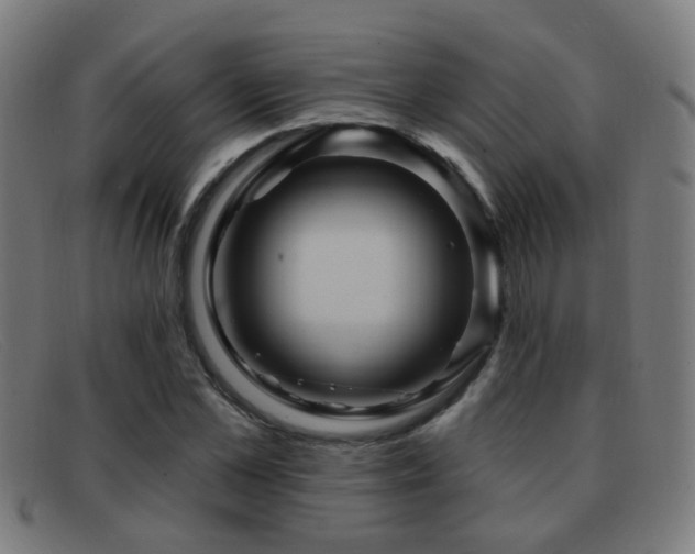 X0000092040973200709121150