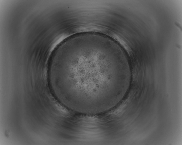 X0000092040975200709121150