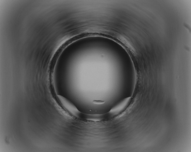 X0000092040976200709121150