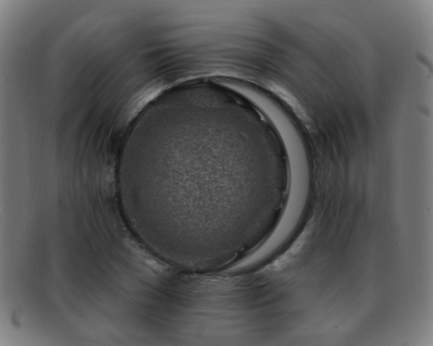 X0000092040977200709121150