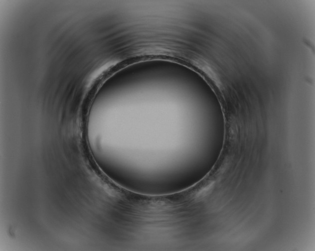 X0000092040979200709121150