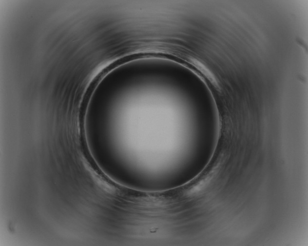 X0000092040980200709121150