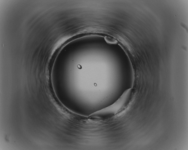 X0000092040981200709121150