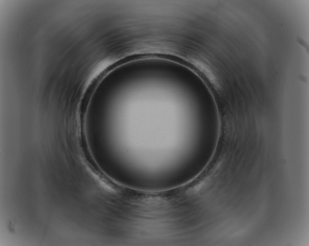 X0000092040982200709121150