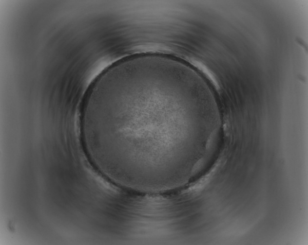 X0000092040983200709121150