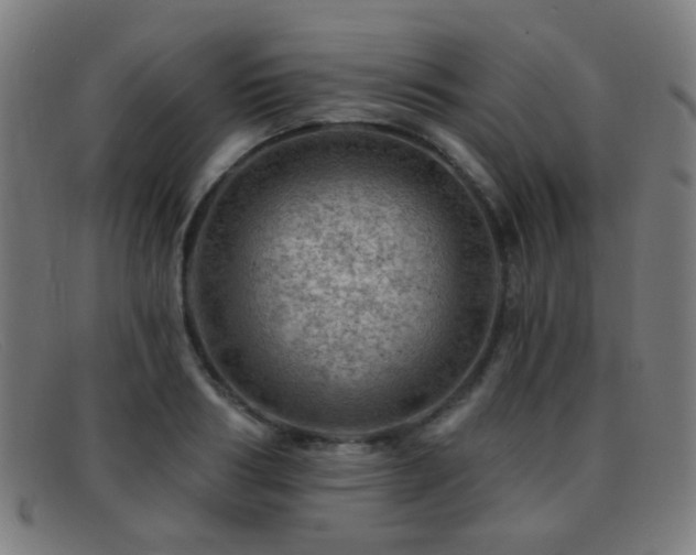 X0000092040986200709121150