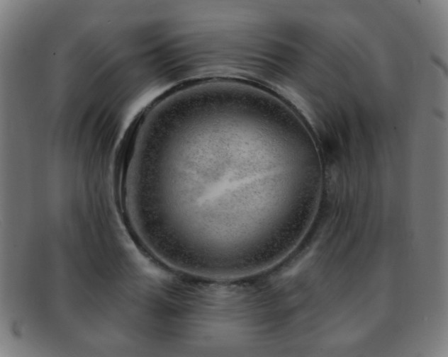 X0000092040987200709121150