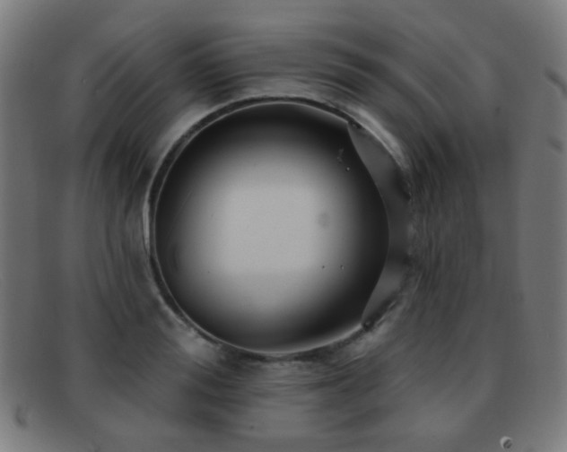 X0000092040988200709121150