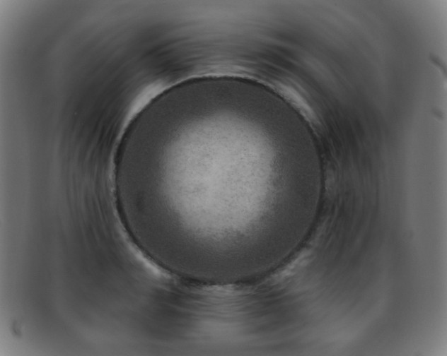 X0000092040990200709121150