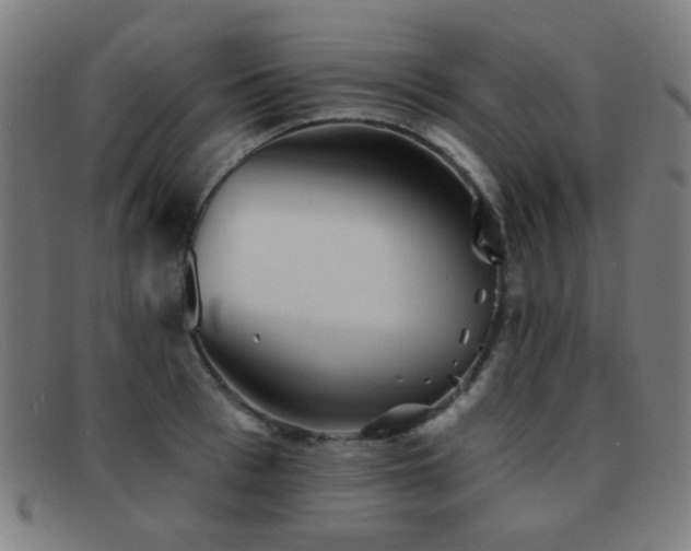 X0000092040993200709121150