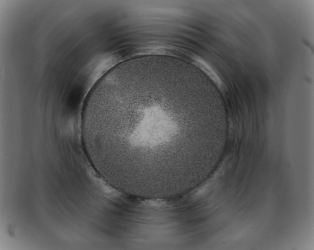 X0000092040994200709121150