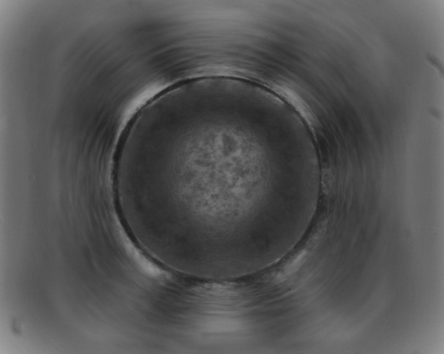 X0000092040995200709121150