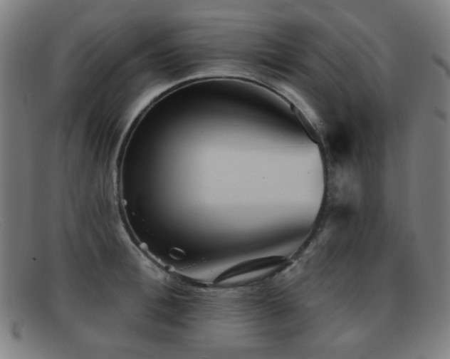 X0000092040996200709121150