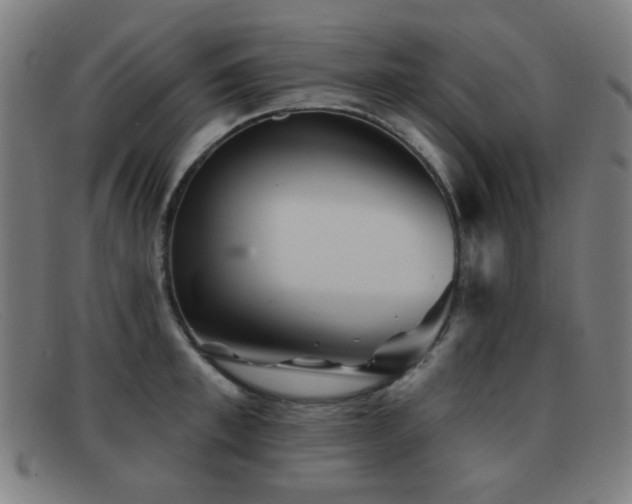 X0000092040997200709121150