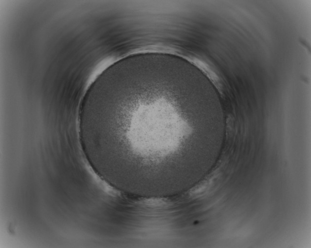 X0000092040998200709121150